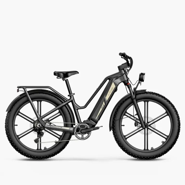 Fiido Titan Fat Tire Hunting and Touring Ebike - Long Range — Standard (115km) — manufacturer photograph; Manufacturer SKU M25-145H-US