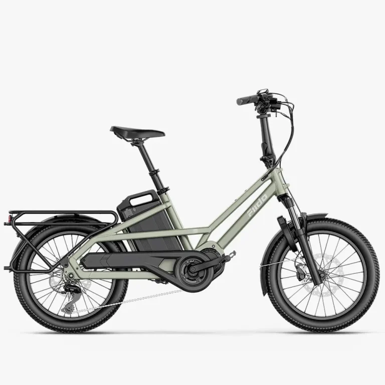 Fiido T3 Urban Family Cargo E-Bike — manufacturer photograph; Manufacturer SKU T3-27Y-US