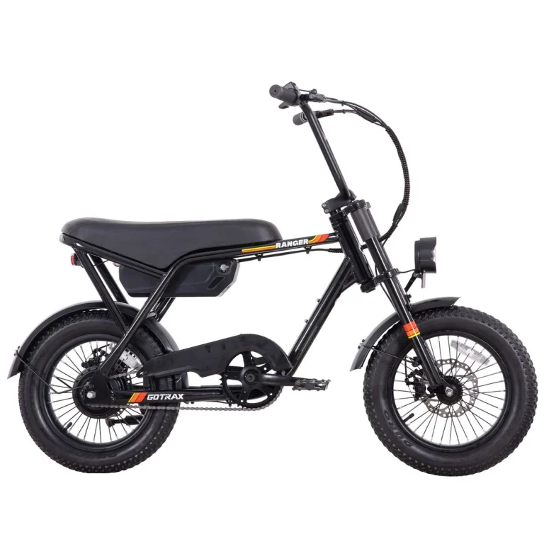 GOTRAX Ranger 16 Electric Bike — manufacturer photograph; Manufacturer SKU GT-RANGER16-BLK